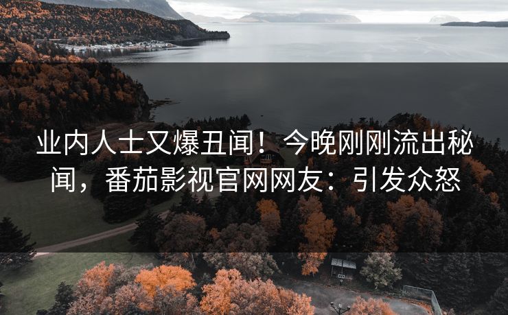 业内人士又爆丑闻！今晚刚刚流出秘闻，番茄影视官网网友：引发众怒