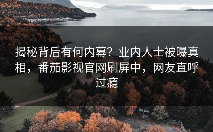揭秘背后有何内幕？业内人士被曝真相，番茄影视官网刷屏中，网友直呼过瘾